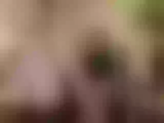 Live sex webcam photo for AngelikaMore #291709385