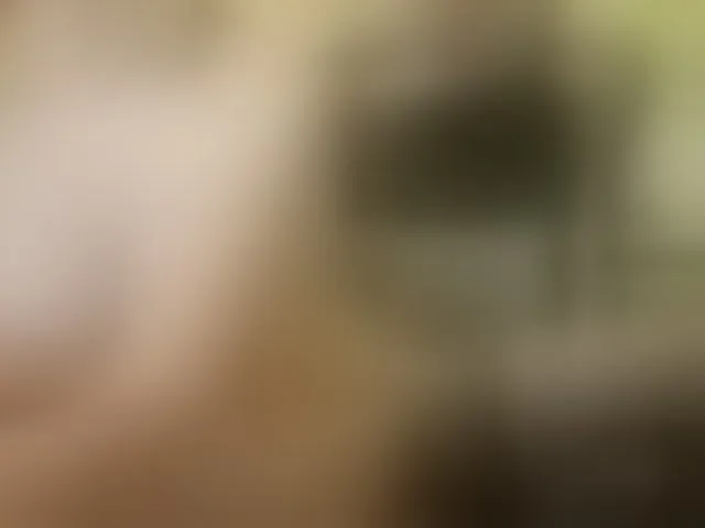 Live sex webcam photo for AngelikaMore #291911289