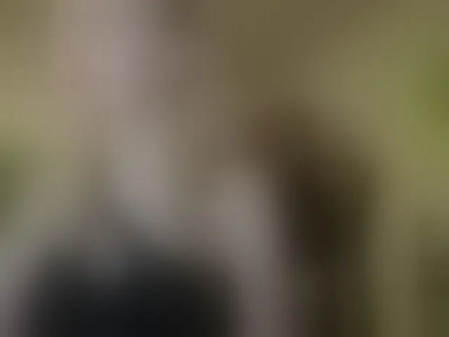 Live sex webcam photo for AngelikaMore #292954479