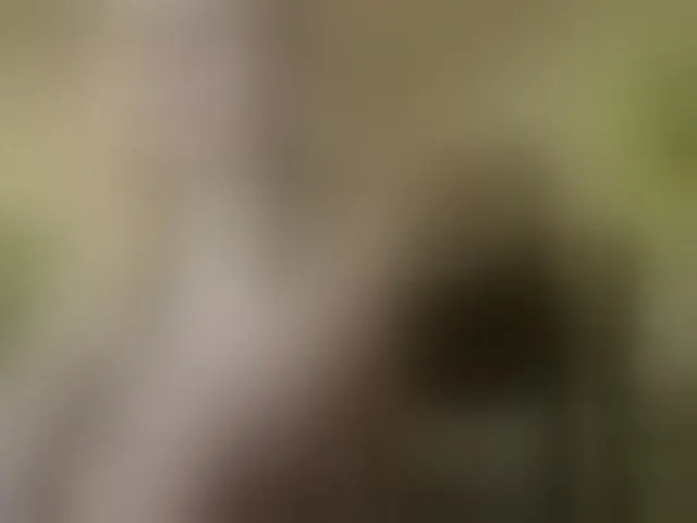 Live sex webcam photo for AngelikaMore #293344507