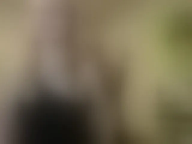Live sex webcam photo for AngelikaMore #293407268