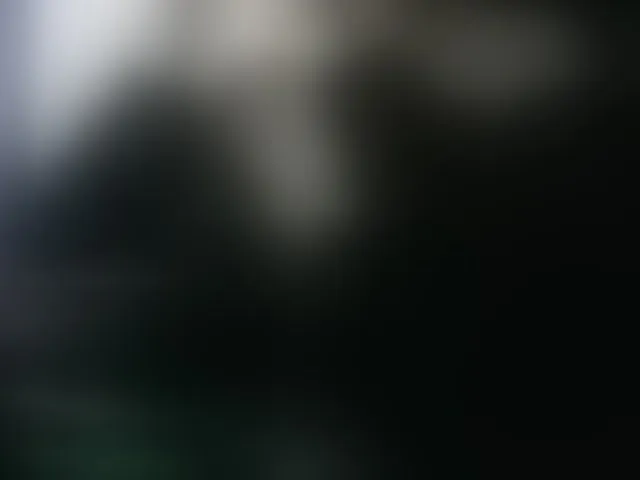 Live sex webcam photo for Angelina-- #293488347