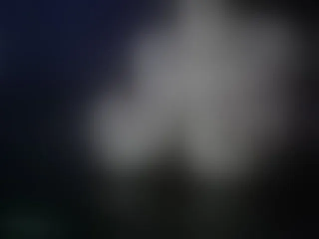 Live sex webcam photo for Angelina-- #293496525