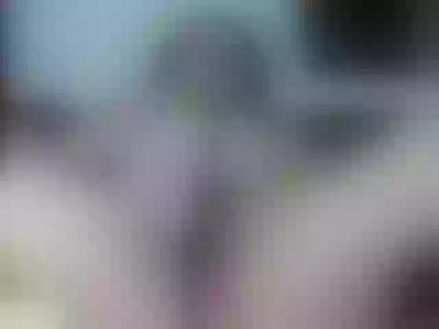 Live sex webcam photo for Angelrobertss #289467869