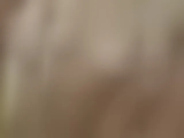Live sex webcam photo for AngelsRika #293584506