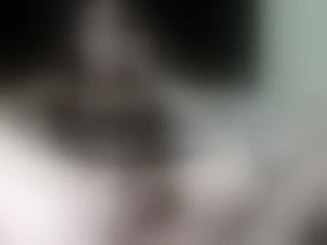 Live sex webcam photo for AngelynaW #292118449