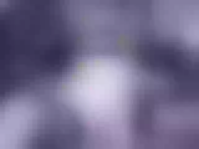 Live sex webcam photo for Angie5 #291310931