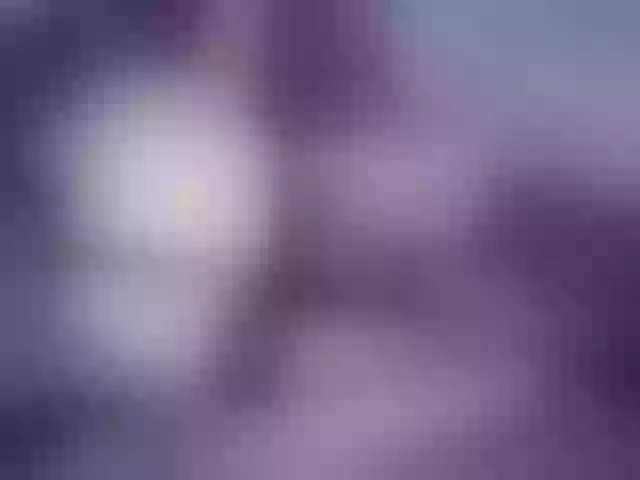Live sex webcam photo for Angie5 #291504435