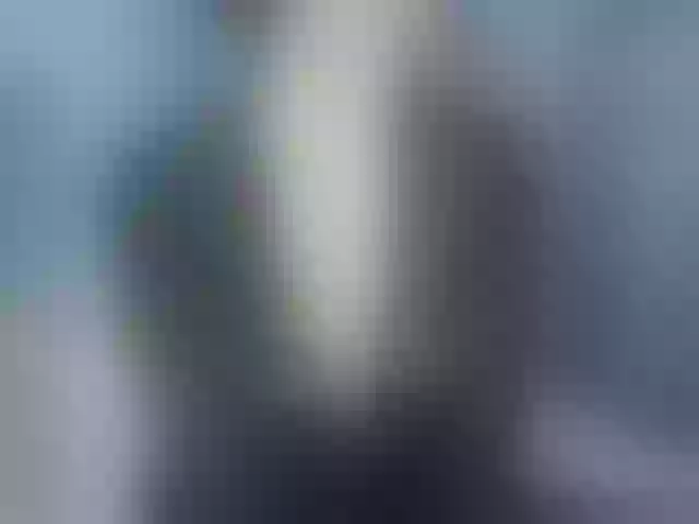Live sex webcam photo for Aniiina #291031040
