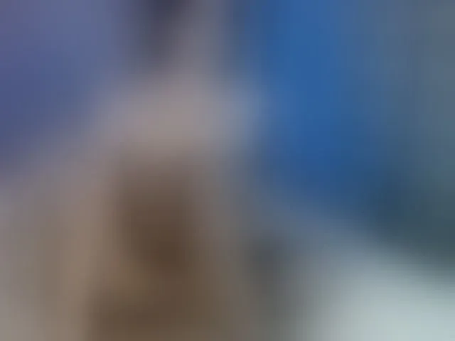 Live sex webcam photo for Aniiina #293891876