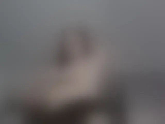 Live sex webcam photo for AnitaSeaa #292783324