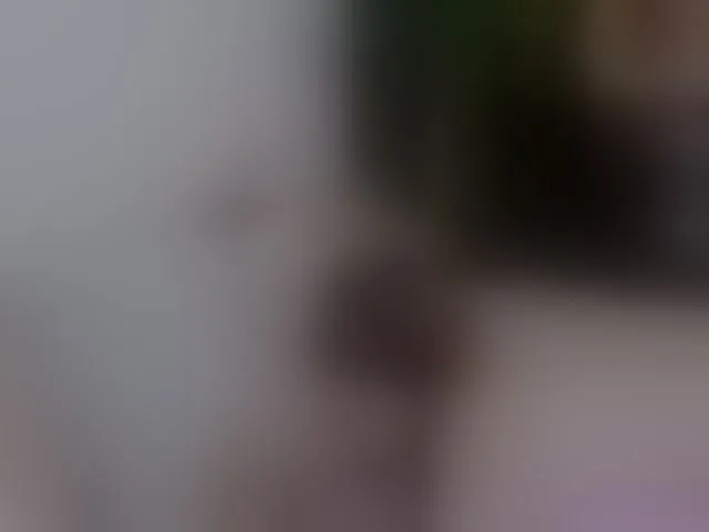 Live sex webcam photo for Anmazing #292478554