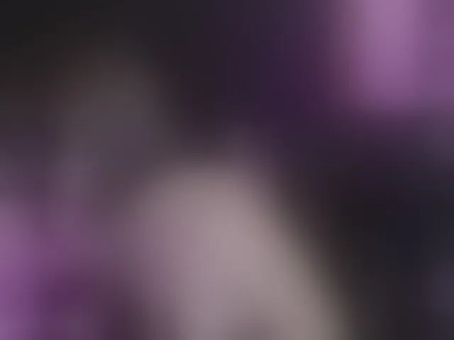 Live sex webcam photo for Anmazing #293633405
