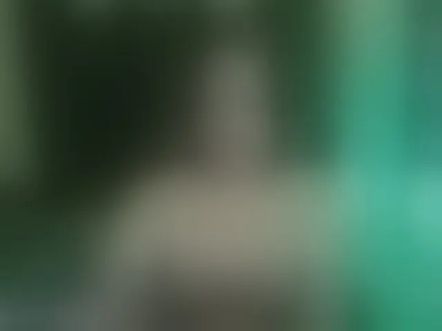 Live sex webcam photo for Anmazing #293747012
