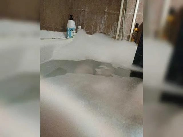 Live sex webcam photo for Anna-Leda #277891889