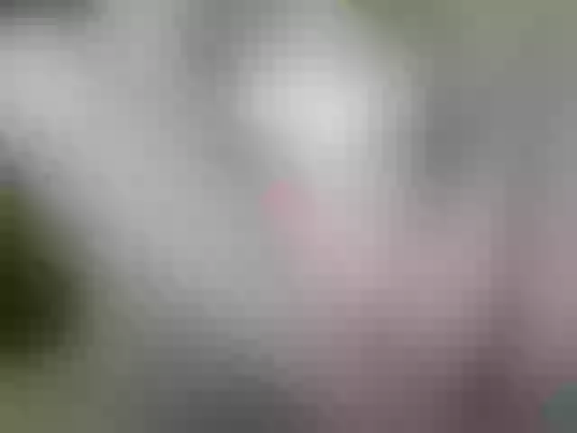 Live sex webcam photo for Anna6991 #290234762