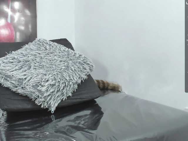 Live sex webcam photo for AnnaDiaz #275658345