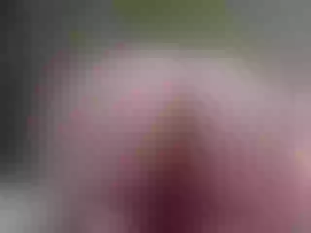 Live sex webcam photo for AnnaMariiia #273640426