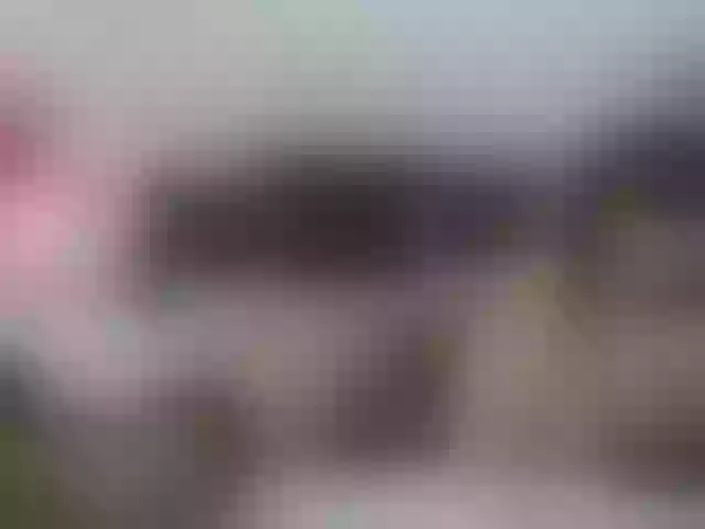 Live sex webcam photo for AnnaRos #290966579
