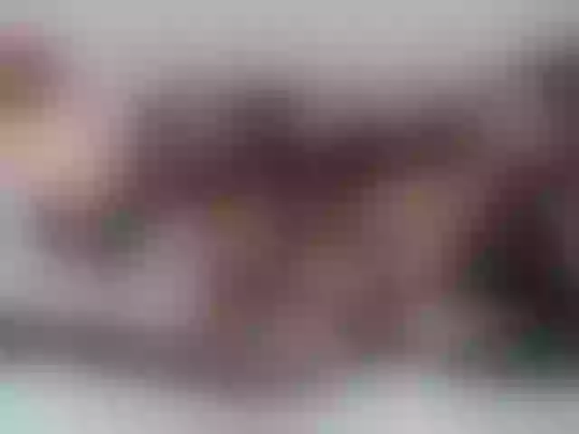 Live sex webcam photo for AnnaRos #291072138