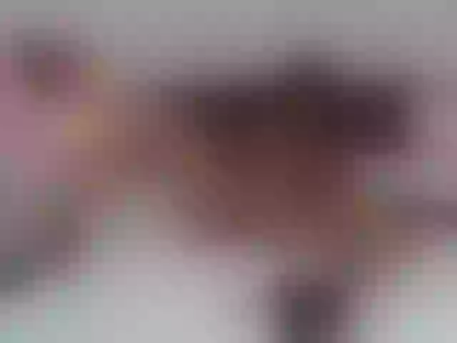 Live sex webcam photo for AnnaRos #291393853