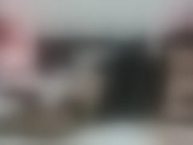 Live sex webcam photo for AnnaRos #292589165