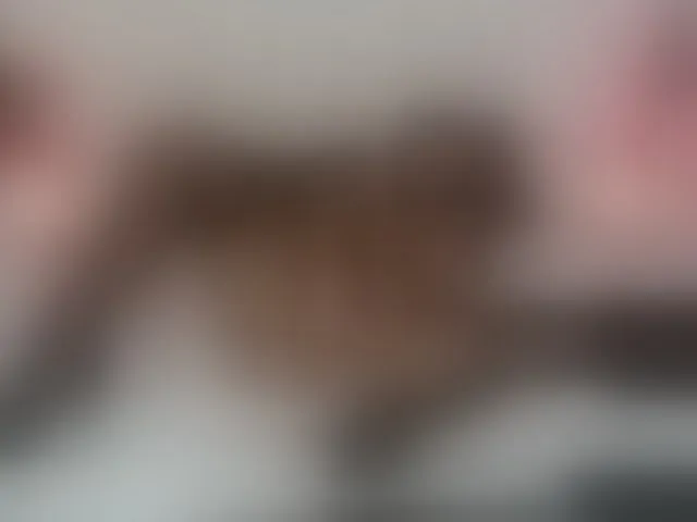 Live sex webcam photo for AnnaRos #292749350