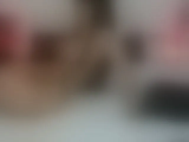 Live sex webcam photo for AnnaRos #293247248