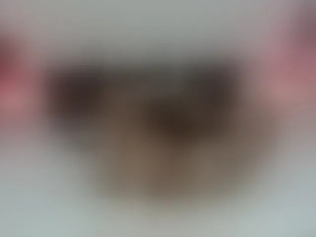 Live sex webcam photo for AnnaRos #293276448