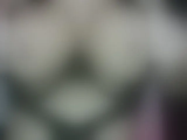Live sex webcam photo for AnnaRos #293358401
