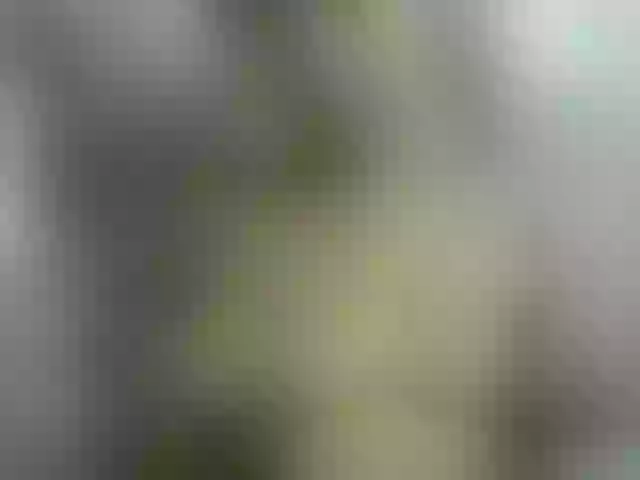 Live sex webcam photo for Annah21 #290796071