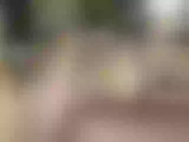 Live sex webcam photo for Annareylee #276649149