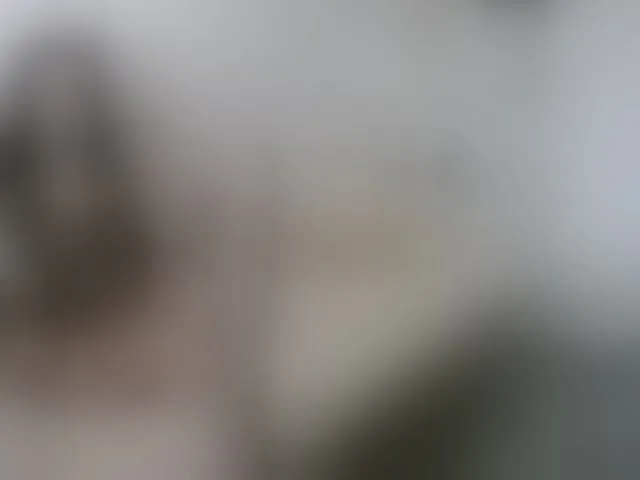 Live sex webcam photo for AnneyAnn #275706657