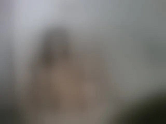 Live sex webcam photo for AnneyAnn #275887839