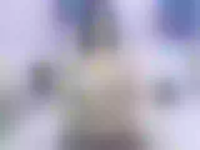 Live sex webcam photo for AnnieBelle #272835322