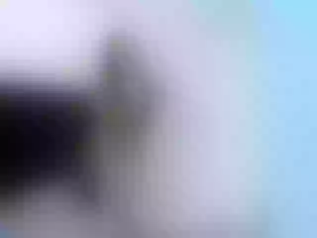 Live sex webcam photo for AnnieMiller- #273182662