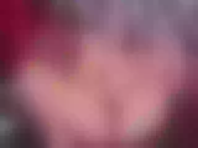Live sex webcam photo for AnnieSwan #273409130