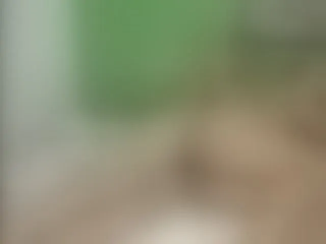 Live sex webcam photo for AntonellaDuo #273599110