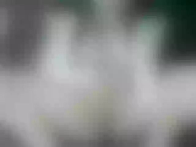 Live sex webcam photo for AntonellaRosss #290416377