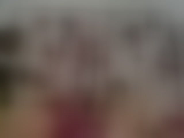 Live sex webcam photo for Antonellasalcedo #294150244