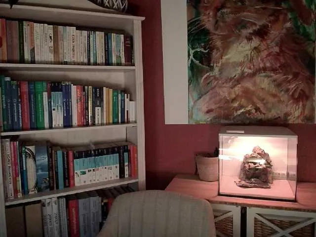 Live sex webcam photo for AntoniaPur #276811470