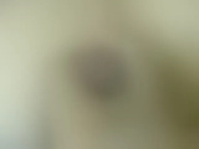 Live sex webcam photo for AnyAndMarcus #276303319
