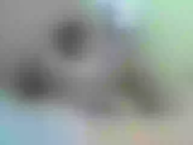 Live sex webcam photo for AnyAndMarcus #276761833