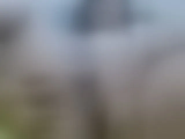 Live sex webcam photo for AnyAndMarcus #277775727