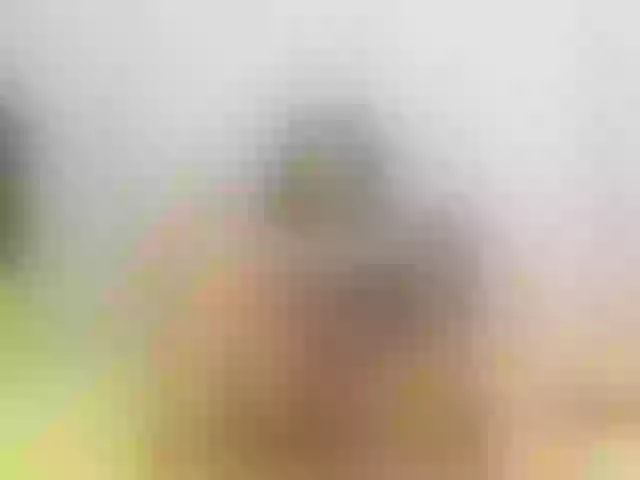 Live sex webcam photo for AnySugarr #291054504