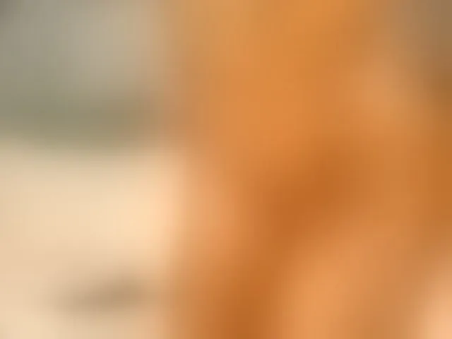 Live sex webcam photo for AnyasDolce #277742816
