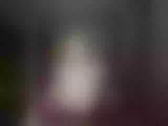 Live sex webcam photo for Anylov3 #274311042