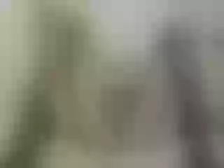 Live sex webcam photo for Anymaisa #126994603