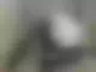 Live sex webcam photo for Anymaisa #127789227