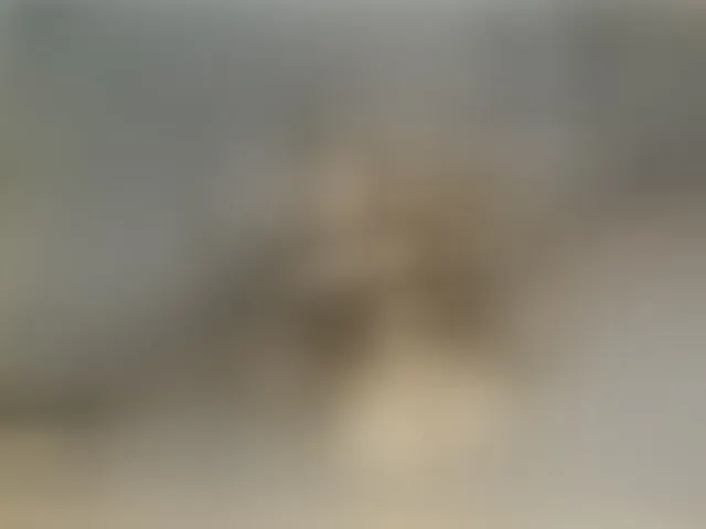 Live sex webcam photo for Anymaisa #292899706